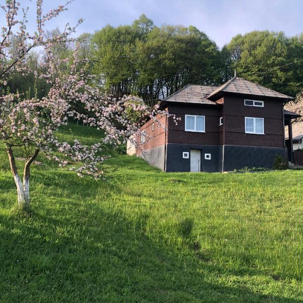 Cabana HATERE