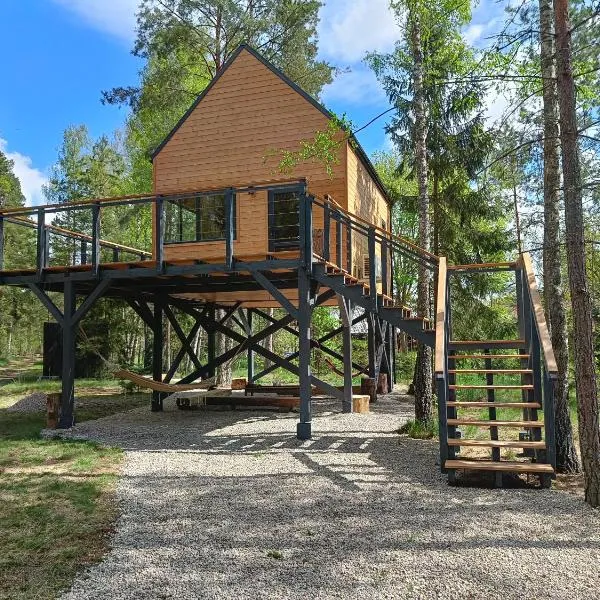 Zdalnie z Lasu - Siedlisko w Puszczy Białowieskiej, hotel u gradu Narewka