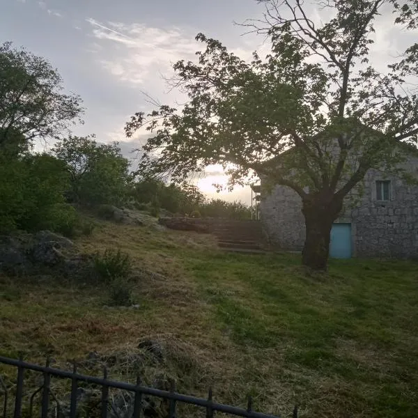 Country stone house Kovacevic, Hotel in Danilovgrad