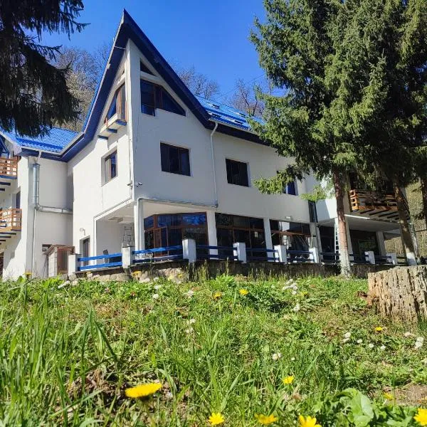 Hotel Parc Geoagiu Bai, hotel in Geoagiu Băi