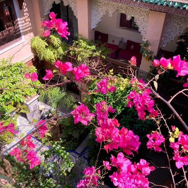 Riad Toyour- Riad of birds, hotel in Fès