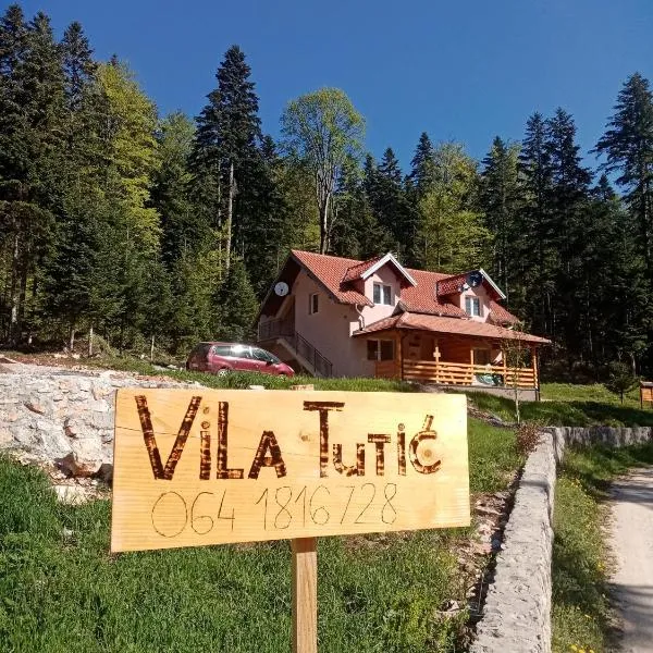 Vila Tutić Apartman 1 i Apartman 2, hotel v destinaci Mitrovac