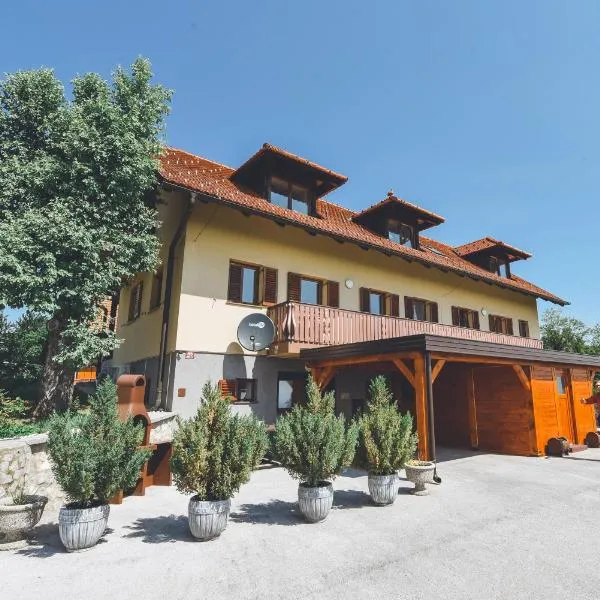 Apartments Jernej with Onsite Wellness, hotel v destinaci Brežice