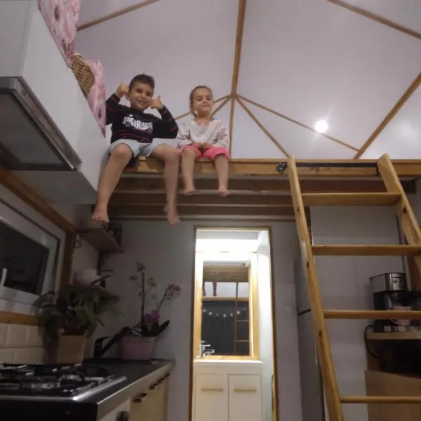 Tiny House Dezmir, hotel in Sînnicoară