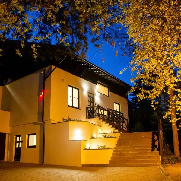 Dvi Nidos, hotel in Nida