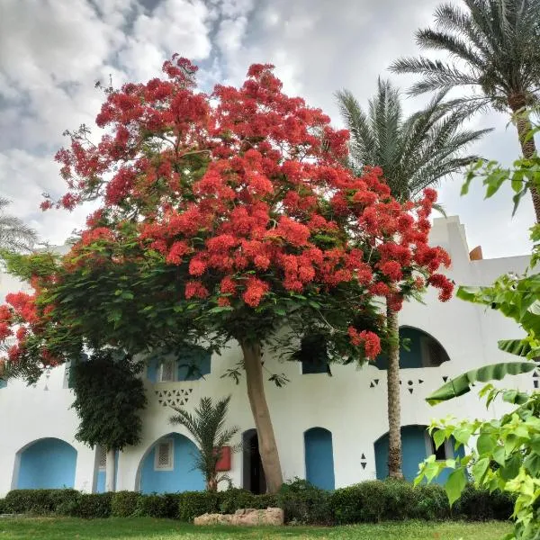 Coral Bay Roby, hotel in Sharm El Sheikh