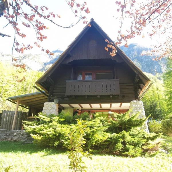 Red Beech Cabin at Lake Bohinj & Triglav National Park