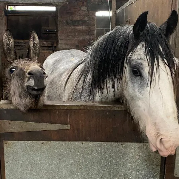 Holywell Grange Farm, hotel v destinaci Whitley Bay