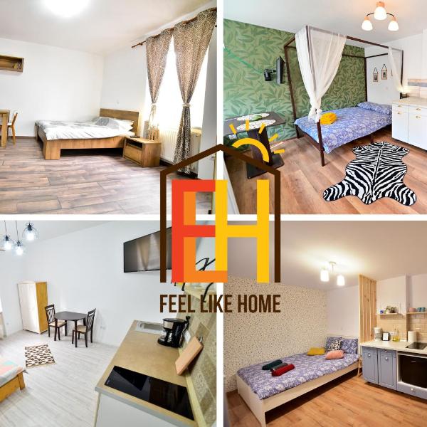 FLH - Central Apartments