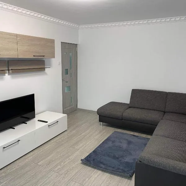 ERIC APARTMENT、Buzăuのホテル