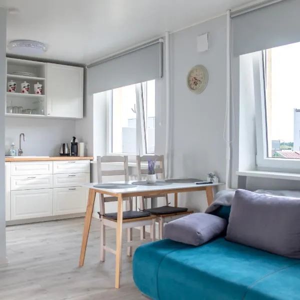 Roosi apartment Haapsalu、ハープサルのホテル