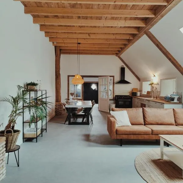 B&B Wijdzicht, Hotel in Wolsum