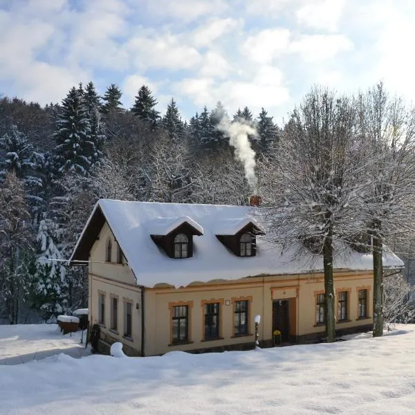 Penzion U Kazíků, hotel ve Vysoké nad Jizerou