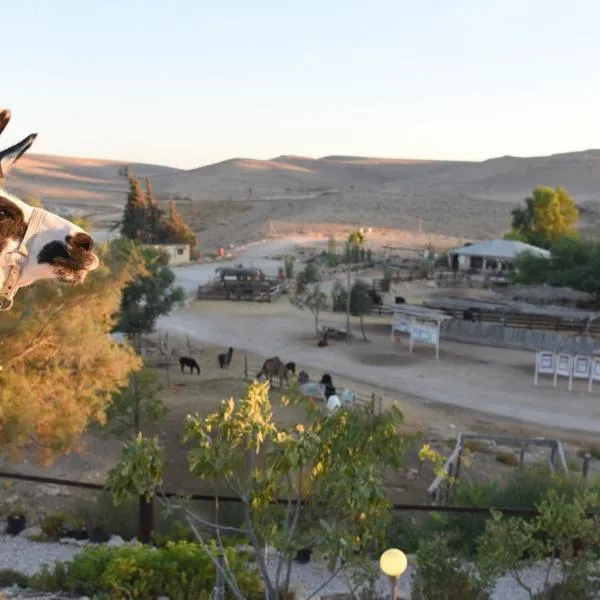 Alpaca Farm - חוות האלפקות, khách sạn ở Mitzpe Ramon