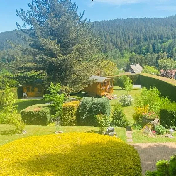 L’hippocampe, ξενοδοχείο σε Wangenbourg