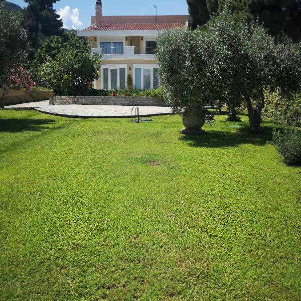 Villa Vasiliki