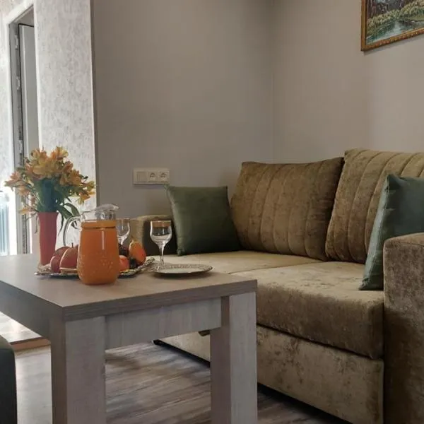 Babulya house 2, hotel in Gyumri