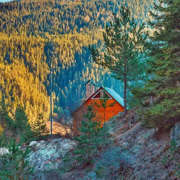 Cozy Cottage Feel Free continental, ξενοδοχείο σε Didi Ateni