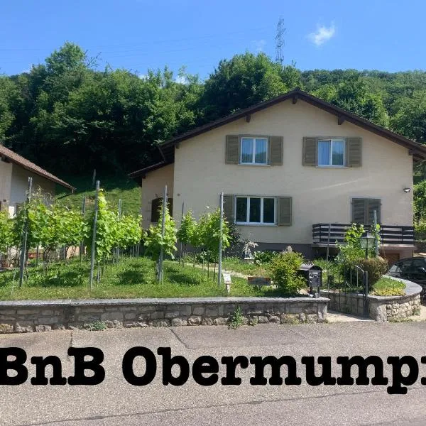 Bed n Breakfast Obermumpf, ξενοδοχείο σε Stein