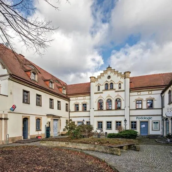 Cosel Palais Appartement, Hotel in Dresden