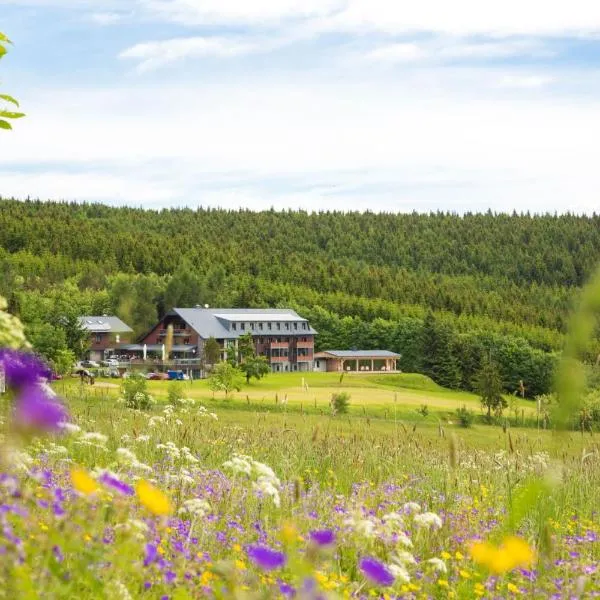 Hotel Jens Weissflog, hotel v destinaci Kurort Oberwiesenthal