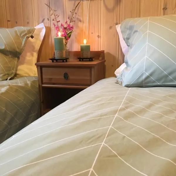 Reinunga Eco Hytta - Mountain lodge near Myrdal accessible only by train or bike, hotel in Myrdal