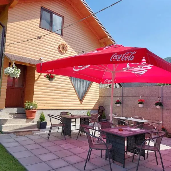 Cabana Rustica Georgeta、ザルネシュティのホテル