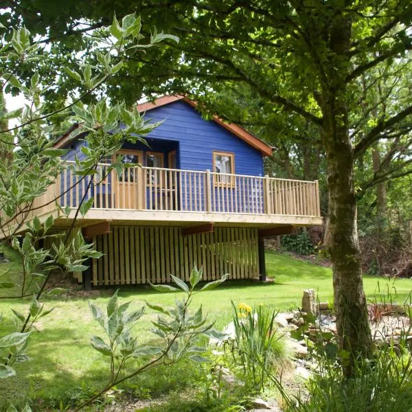 Creekside Lodge Bathpool Launceston Cornwall、ローンセストンのホテル