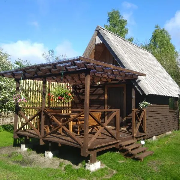 Pie Andra Pitragā, hotel in Pitrags