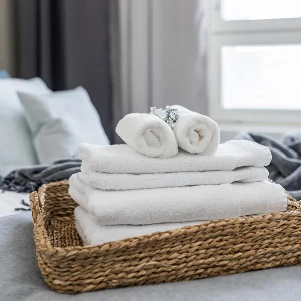 Arctic Starry City Suite、ロヴァニエミのホテル