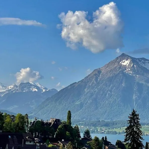 Schöne Ferienwohnung mit Seeblick，位于图恩的酒店