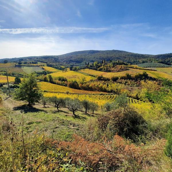 Villa Del Sole