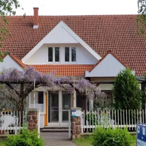 Erika Villa, hotel in Siófok