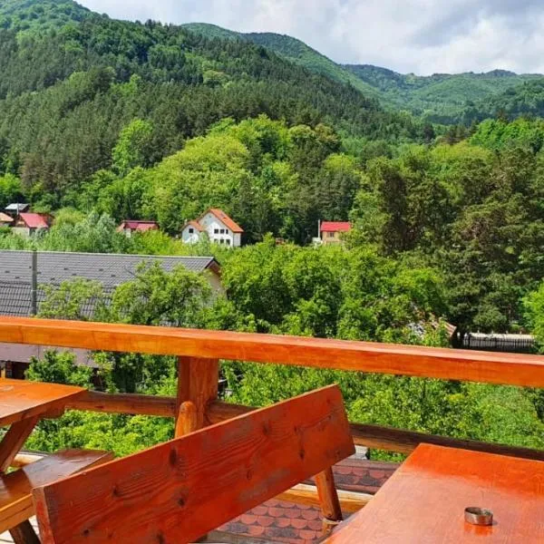 Casa de Vacanta Neagu – hotel w mieście Gura Teghii