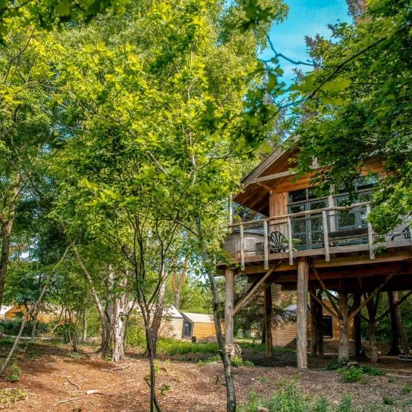 EuroParcs Ruinen, hótel í Ruinen