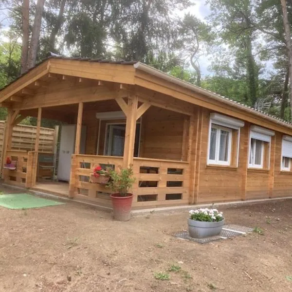 Les Pins, hotel v destinaci Excénevex