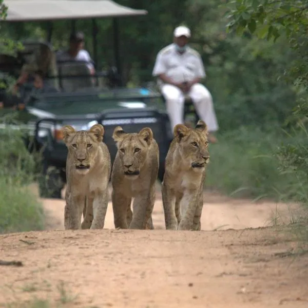 Karongwe- Shiduli Safari Lodge, Hotel in Hoedspruit