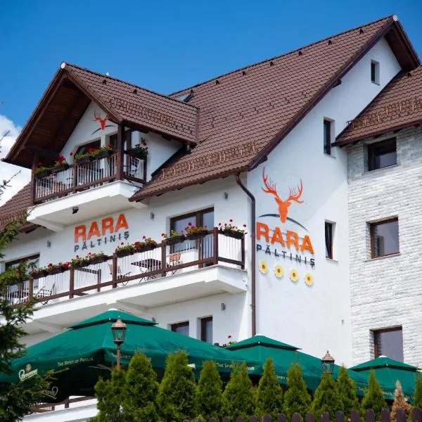 Pensiune Rara Paltinis, Hotel in Păltiniş