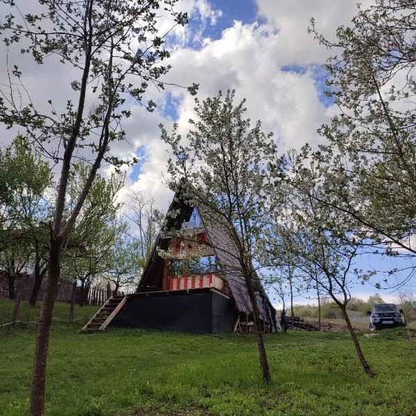 CabanuțA Young Valley、Bîltişoaraのホテル