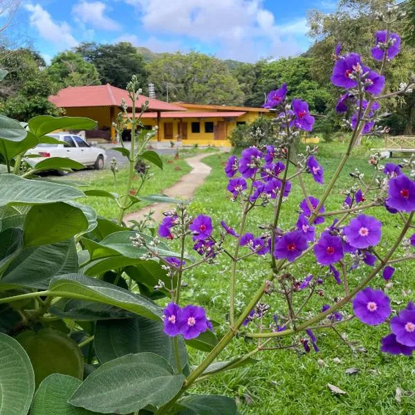 El Valle Resort & Spa - Aguas Termales,位于埃尔巴列德安通的酒店