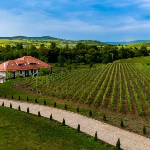Pensiunea Sonnenhof, hotel a Sighişoara