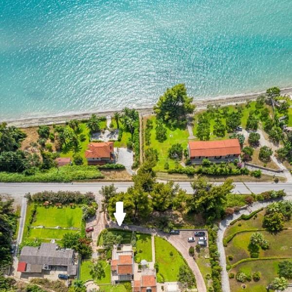 VV Luxury Experience