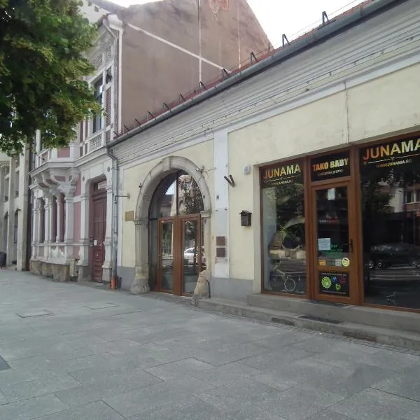Apartament BBB48, hotel in Cluj-Napoca
