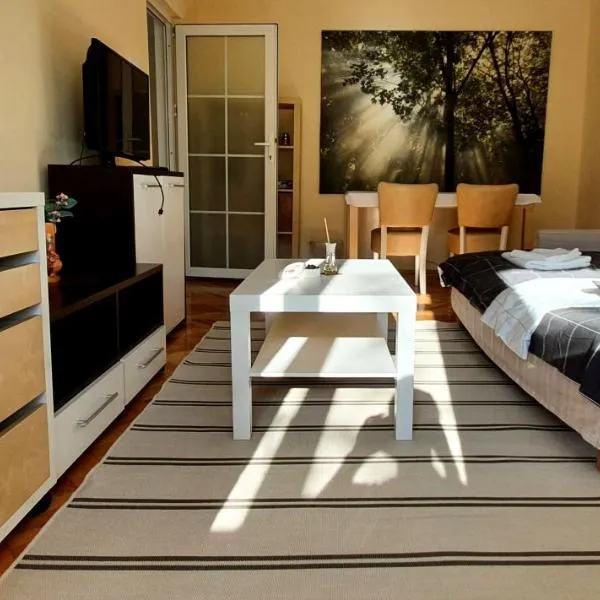 Between Parks - King Bed - Central - Football field, hotel din București
