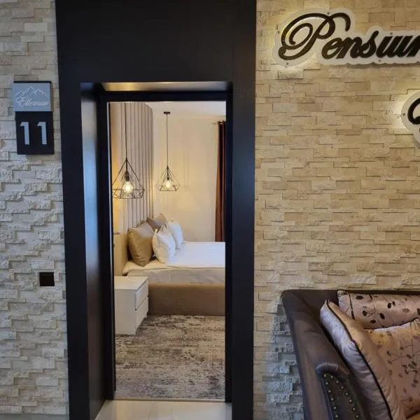 Pensiunea Ellemar, hotel en Vatra Dornei