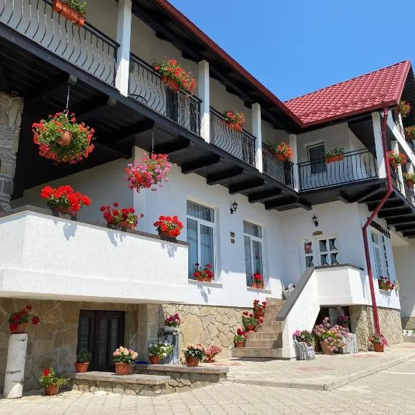 Pensiunea Boculeț Gura Humorului, ξενοδοχείο σε Gura Humorului