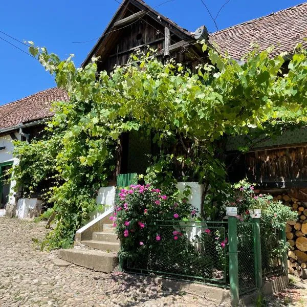 Saschiz 130/Lodging and Glamping, hotell i Saschiz