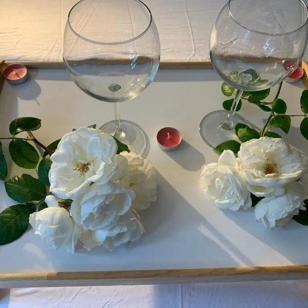 Glastonbury town center-entire apartment, hotel in Glastonbury