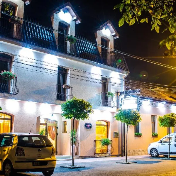 Hotel-Pensiunea Zefir, hotel in Timişoara