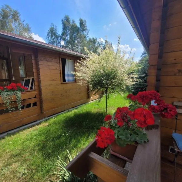 Domki Family, hotell sihtkohas Bronowice